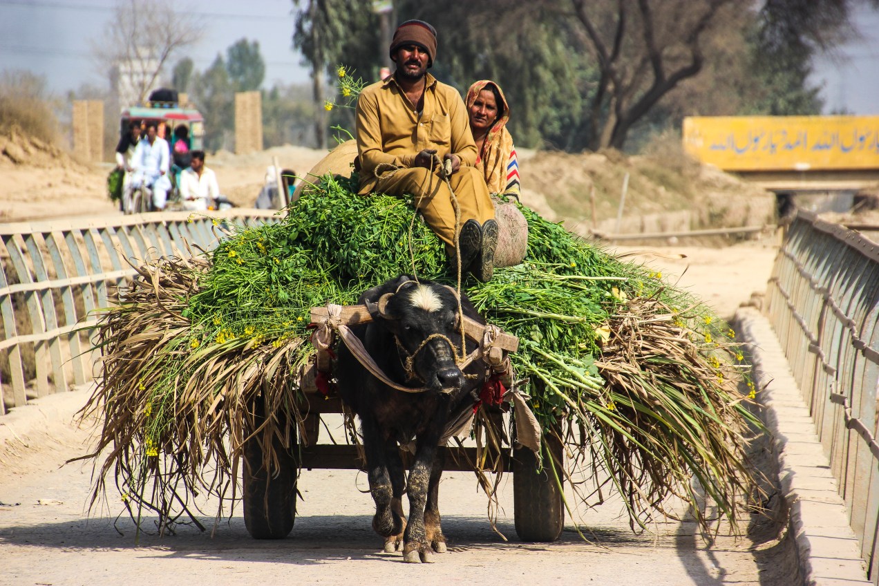 Farmer out cruising with the missus. 